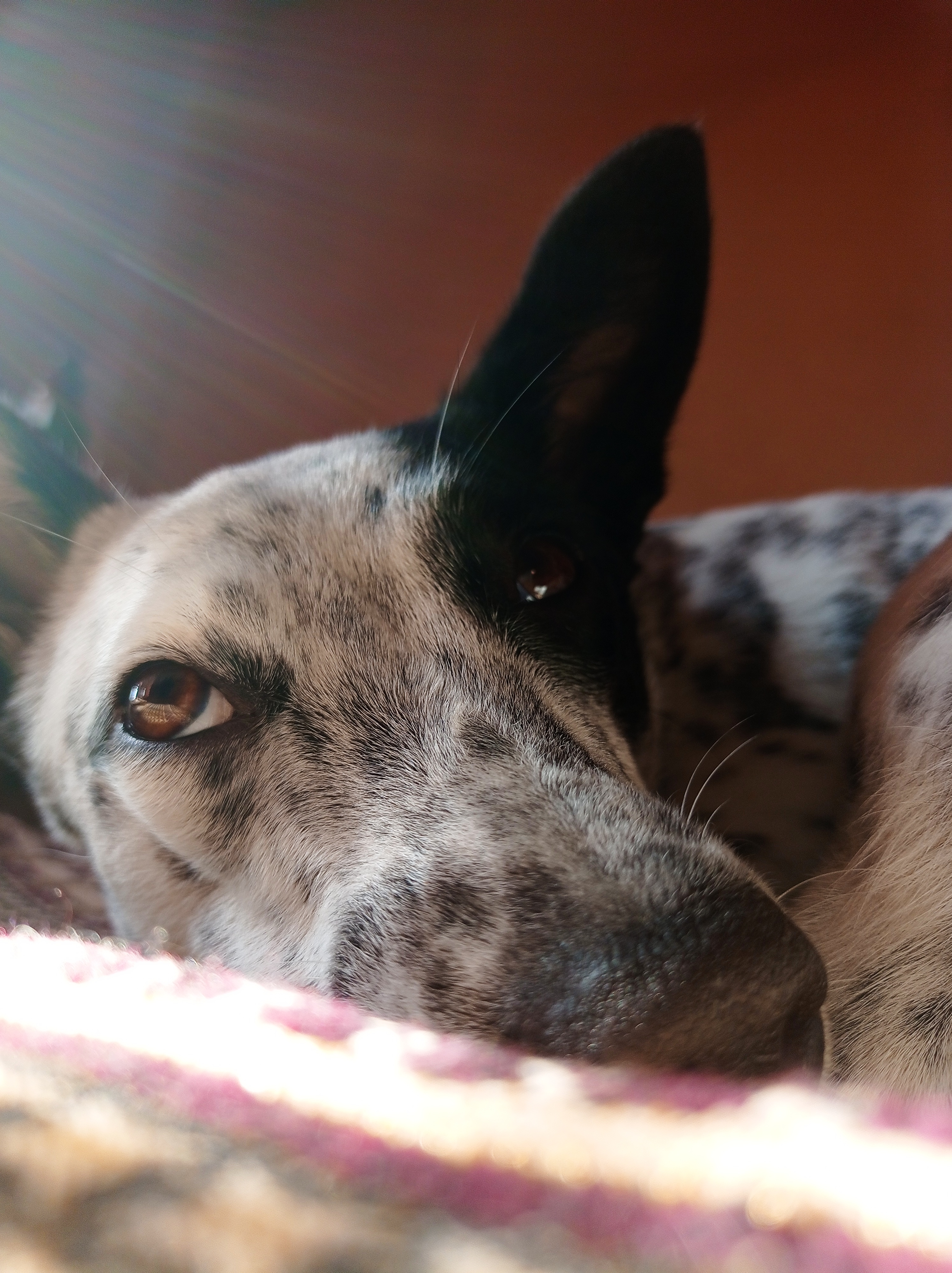 Pretty Girl